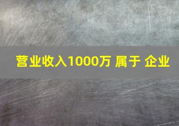 营业收入1000万 属于 企业